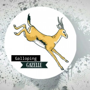 Galloping Gazelles