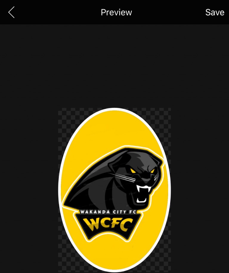 Wakanda City FC