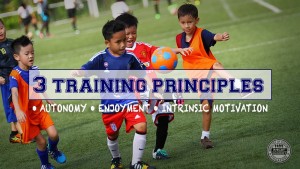 v2 3 training principles